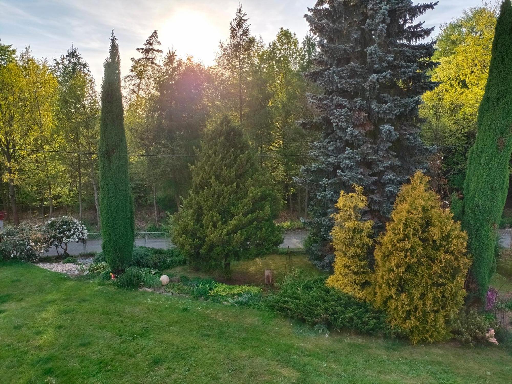 Apartman Za Lesem Červený Kostelec Exterior foto